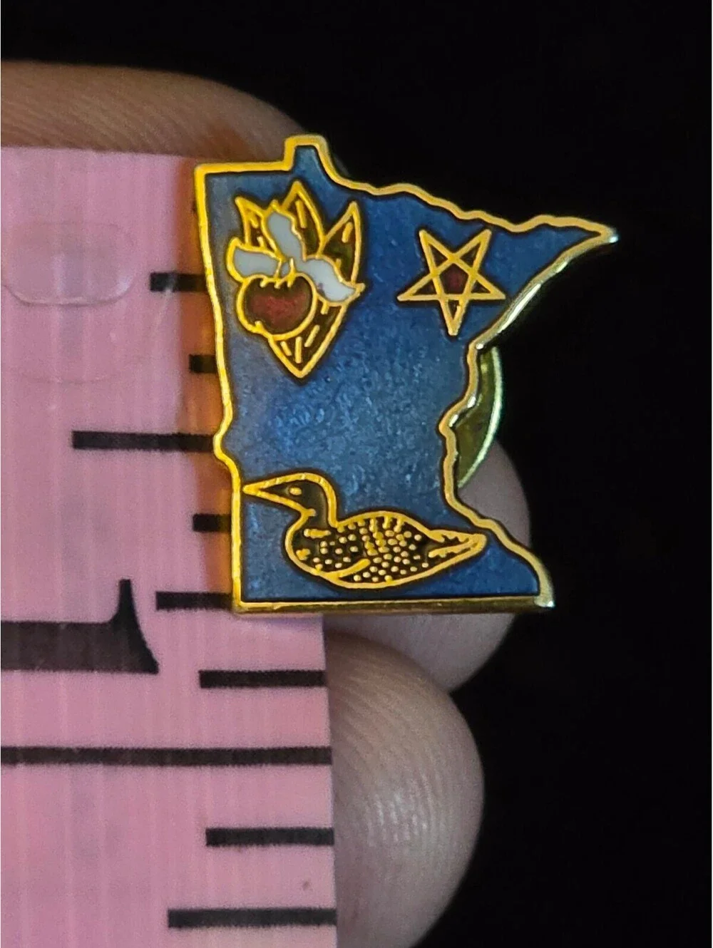 Vintage Minnesota State Shape Enamel Lapel Pin –Loon, North Star, Lady's Slipper